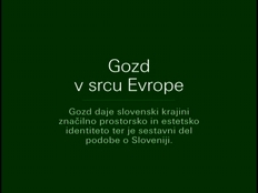 Živan Veselič; Borut Debevc
Gozd v srcu Evrope
2008