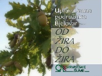 Od žira do žira
2006